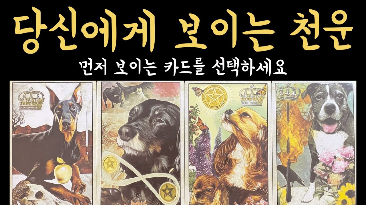 [타로] 99.9% 소름 돋게 맞는 당신에게 보이는 천운, 진심으로 기원합니다🙏🏻