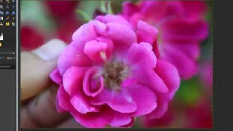 Gimp tutorial-Levels and Saturation