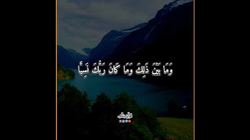 لا يسمعون فيها لغوا إلا سلاما 😍💜| القارئ شريف مصطفى |من سورة مريم |قرآن_يتلي #قرآن_كريم #حالات_واتس