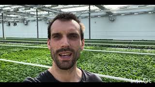 Meet Sam Brook, 2025 Nuffield Farming Scholar