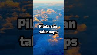 Pilots take naps on planes #plane #sleeping #crash