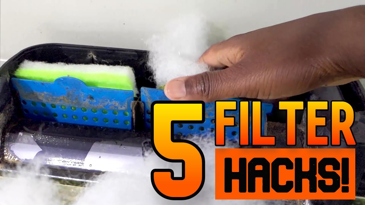 5 HACKS to OPTIMIZE Your Hang on Back Filter! YouTube