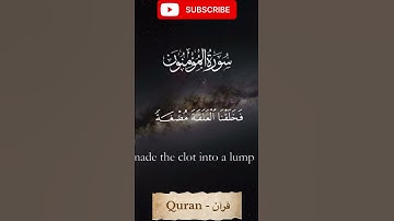 سورة المؤمنون | ياسر الدوسري | تلاوة خاشعة #قرآن #قران_كريم #ياسر_الدوسري #سورة_المؤمنون #quran ❤️