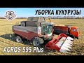 Комбайны ACROS 595 Plus - работа на уборке кукурузы! Жатка ARGUS 870 от Ростсельмаш