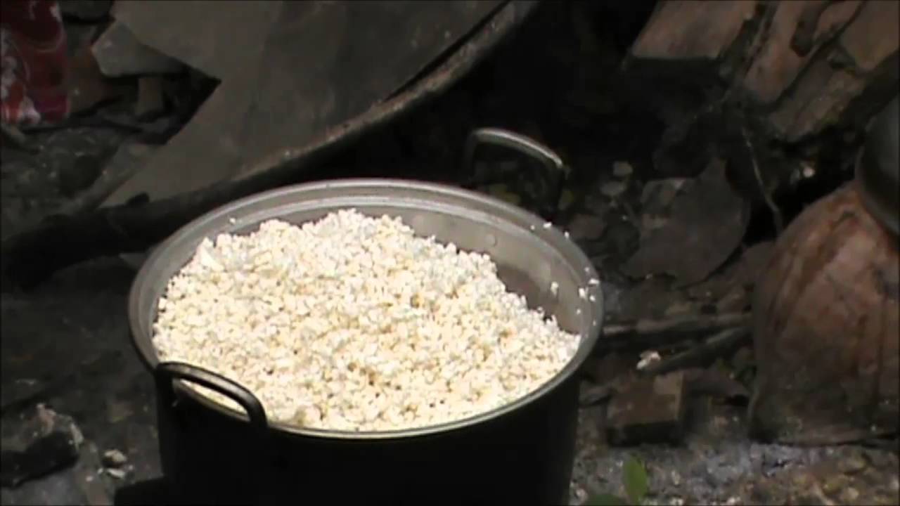 Cara memasak nasi singkong  YouTube