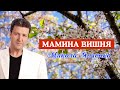 Мамина вишня - Микола Янченко