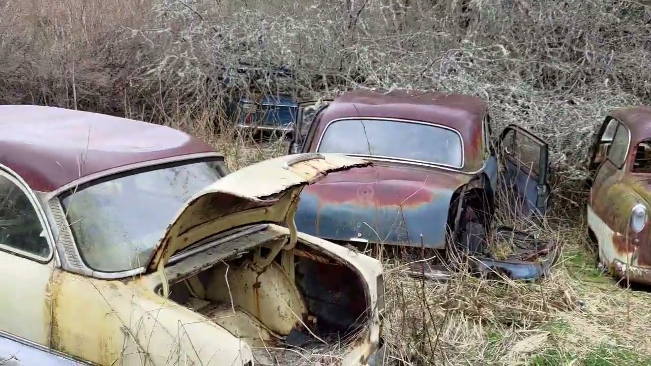 Bröderna Ivanssons bilkyrkogård i Båstnäs.