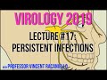 Virology Lectures 2019 #17: Persistent Infections