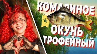 ТРОФЕЙНЫЙ Окунь | Озеро КОМАРИНОЕ | Русская Рыбалка 4 🐠