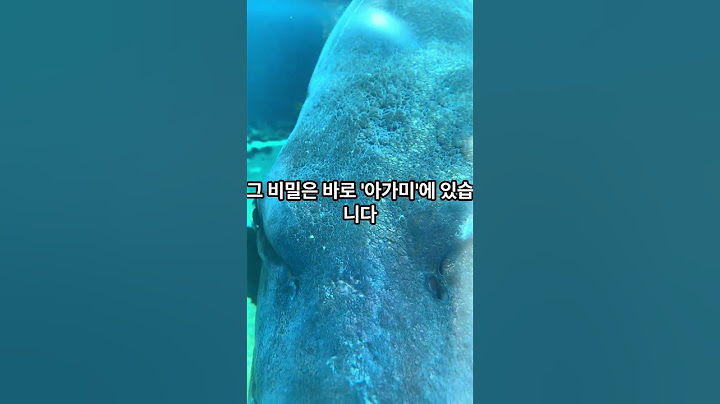 물고기는 왜 물속에서 숨 쉴 수 있을까? 아가미의 비밀!