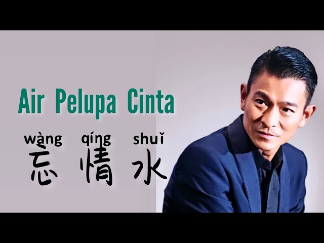 Wang Qing Shui  忘情水 - Andy Lau 劉德華 - Air Pelupa Cinta - Lagu Mandarin Subtitle Indonesia - Pinyin class=