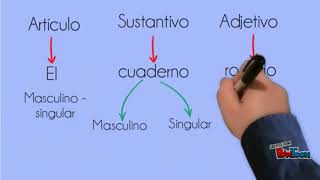 Concordancia entre adjetivo y sustantivo