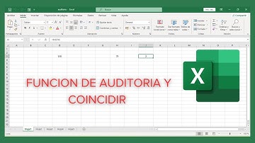 💻AUDITORIA DE FORMULAS - COINCIDENCIA EXACTA✔️