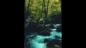 سورة الفلق بصوت الشيخ سعد الغامدي 🌿