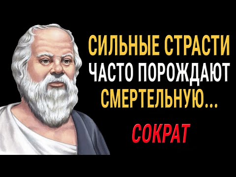 Сократ - Мудрые Цитаты И Высказывания, Которые Стоит Послушать! Цитаты Меняющие Жизнь