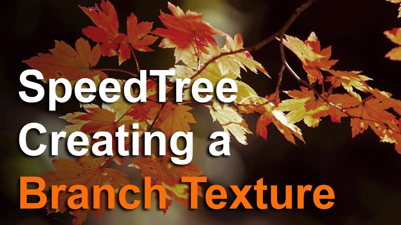 Creating a branch texture in SpeedTree - YouTube