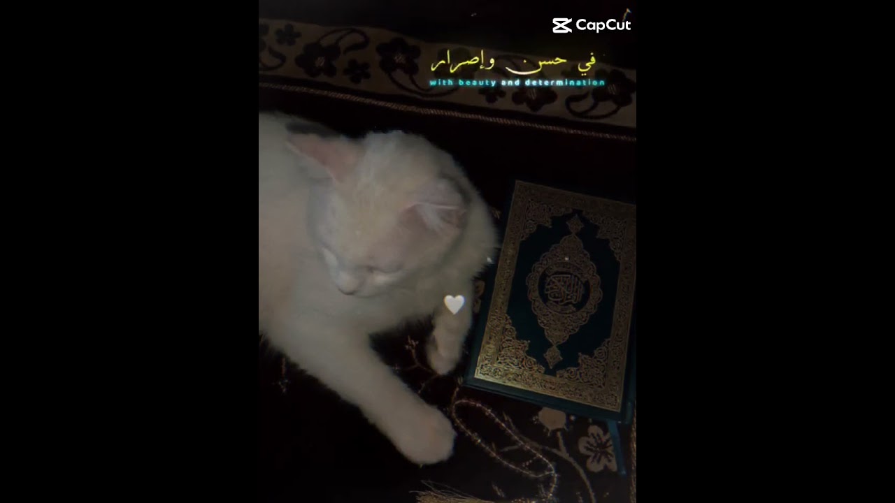 becoming Muslim is really best lovely life🤩🥰