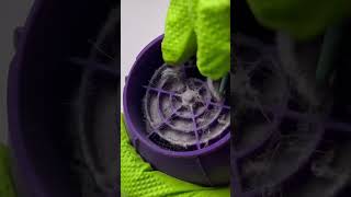 Does Your Hair Dryer Need To Be Cleaned?