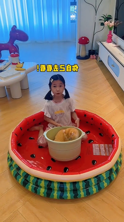 Bontot dan kapibara di ajak majikan berenang 🥵 #kucinglucu