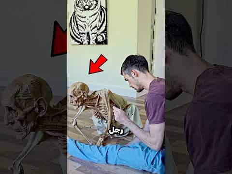أغلبية الناس صدقوا صاحب الفيديو