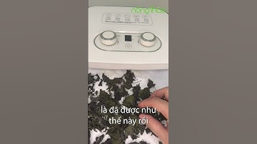 Làm trà từ cây Tía tô giúp làm trắng da, ngăn ngừa lão hóa #shorts #nongthao #tiato #caytiato