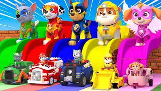 PAW Patrol : Guess The Right Door With Tire Game Mighty Pups Ultimate Rescue Max Level LONG LEGS#152