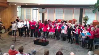 Optreden Demi Haaitsma Bij Lanzingt