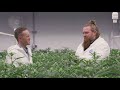 Using Medical Marijuana for Pain vs. Suffering | Discover Marijuana