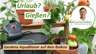 Gardena AquaBloom - Was kann die automatische Urlaubsbewässerung mit Solarpumpe?