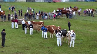 Pencampwriaeth Parau Godro | Dairy Pairs Championship