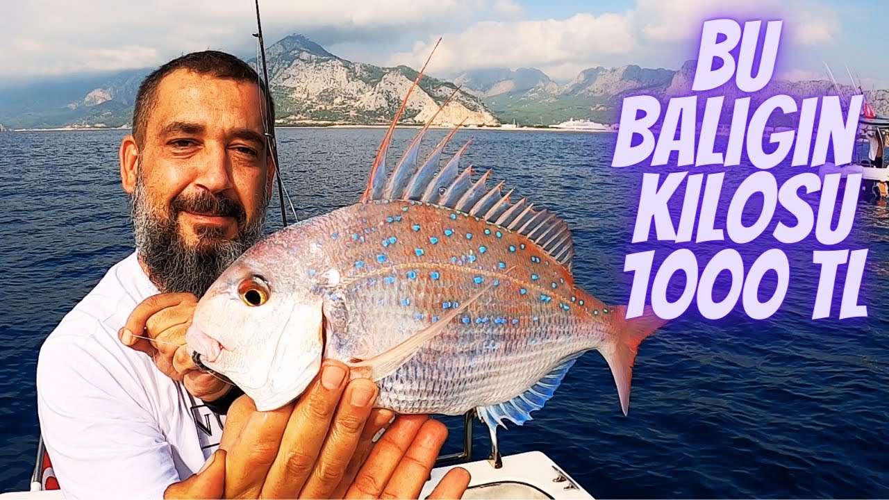 Denizlerin En Pahalı Balığını Yakaladık.