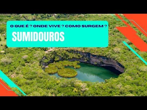 Vídeo: O que são sumidouros?