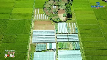 Nỗ lực thu hút doanh nghiệp đầu tư vào nông nghiệp, nông thôn