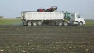 Coauette Farm Beet Harvest 2012 015