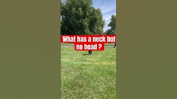 98% get it wrong. #riddles #funny #trending #viralvideo #subscribe