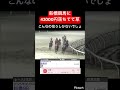 【発狂確定】船橋競馬に42000円が落ちていたので拾おうとした結果… #競馬 #競馬予想 #jra #地方競馬 #ウマ娘 #ウマ娘プリティーダービー #ギャンブル #ギャンブル依存症 #武豊