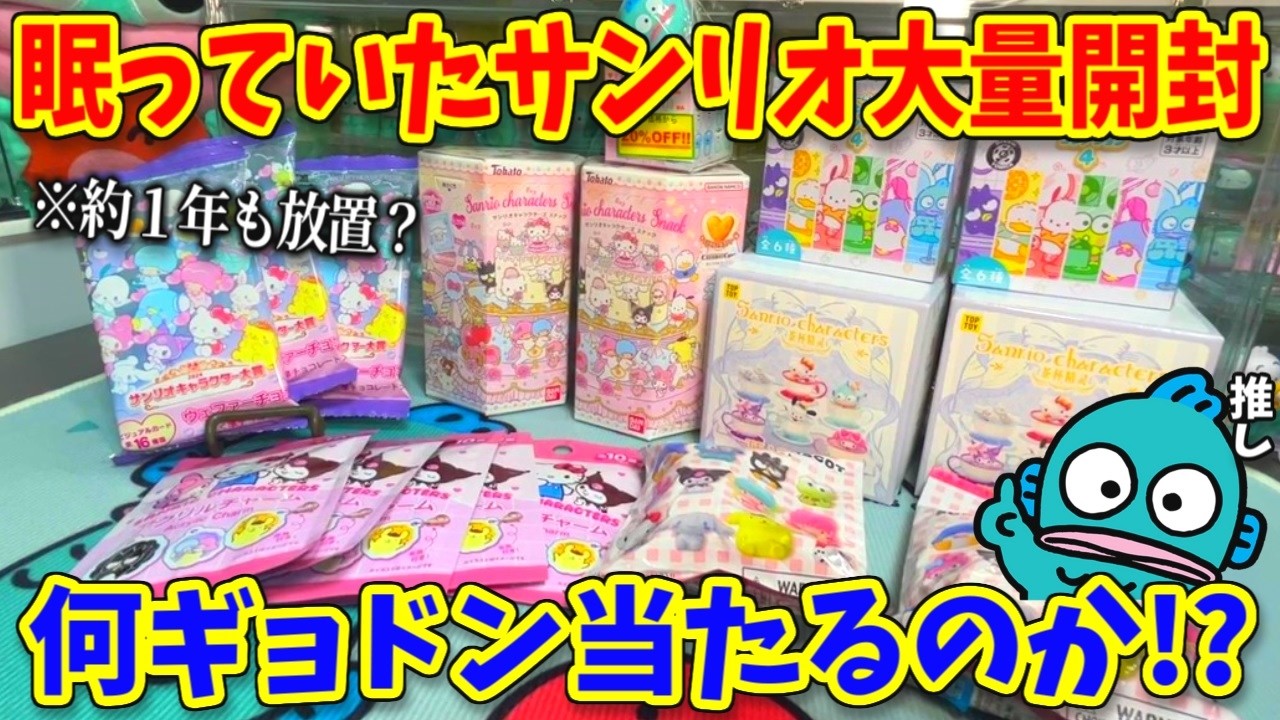 家で約1年放置されていたサンリオ商品からハンギョドンを救出せよ！何ギョドン当たる!?【購入品紹介】