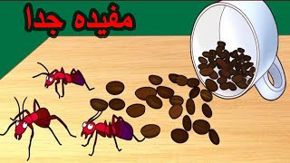 خمسه استخدامات لبقايا القهوة لا تعلم عنها ستدهشك !