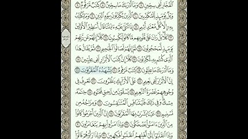 رقم 28 / سورة المطففين من الآية 22 إلى الآية 36 مكررة 20 مرة بصوت القارئ إدريس أبكر