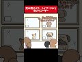売れ残りパグ、トイプードルと新入りコーギー【アニメ】