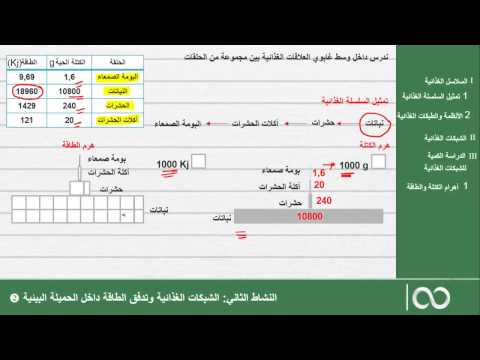 فيديو: ما هو الفرق بين تدفق المادة والطاقة في النظام البيئي؟