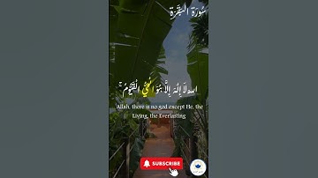 اكتب شيء تؤجر عليه 🤍 🤲🏻 #quran #اسلام #قرآن #راحة_نفسية #سورة_البقرة #آية_الكرسي