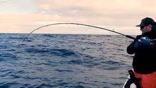 Team RainShadow: Albacore 2018
Our hometown Team Rainshadow went out to Westport, WA a few weeks ago with Far Corners Express Sport Fishing and got on some Albacore tuna.
FOLLOW US:
Website: www.batsonenterprises.com
Facebook: https://www.facebook.com/BatsonEnterprises
Twitter: https://twitter.com/FishRainshadow
Instagram: https://www.instagram.com/teamrainshadow
Batson Enterprises is the largest wholesaler / distributor of rod blanks and rod components in the United States. Our brands include: RainShadow Rod Blanks, ALPS Rod Components, ForeCast Rod Components, AB1 Rod Components and The Ultimate Reamer
Batson Enterprises
130 Harrison, Suite 8
Sequim, WA 98382
Phone: (877) 875-2381
sales@batsonenterprises.com Team RainShadow: Albacore 2018