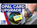 Opal cards to become available in digital wallets | 9 News Australia