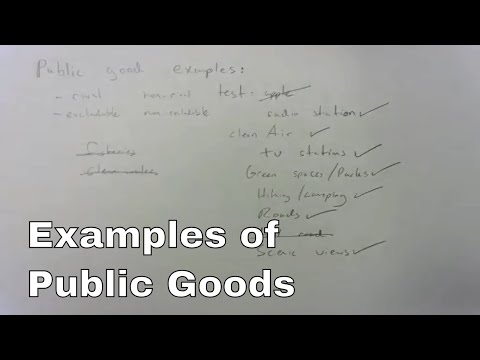 37 Public Goods Examples (A to Z List) (2024)