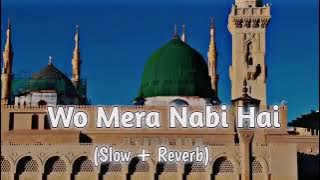 Wo Mera Nabi Hai | Slow Reverb Naat | Syed Hassan Ullah Hussani Lofi Naat_2024