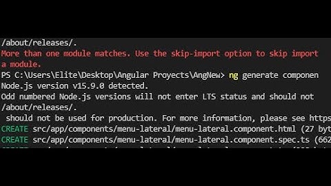 [Español] "More than one module matches. Use the skip-import option to skip importing the component"