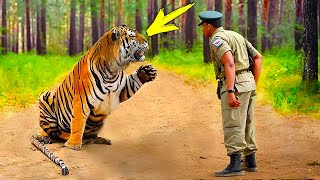 Tiger Begs Soldier For Help, But The Reason Behind It Surprised Everyone! by AMAZING STORIES 168 views 2 days ago 23 minutes