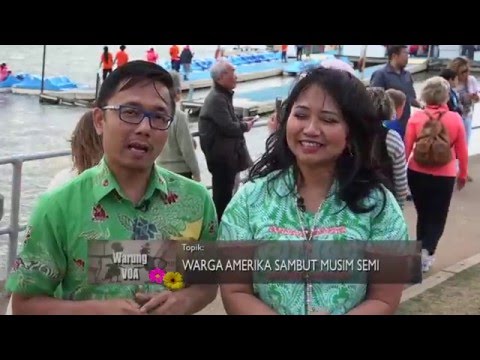 Video: Liburan Musim Semi di Washington Colleges tahun 2019