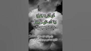 انا نحن نحى ونميت 💖القارئ عبدالعزيز بن يوسف الذوادي _ سورة ق :43-45